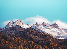 u8体育直播-徐杰20分陈家政15分 广东48分狂胜送四川32连败